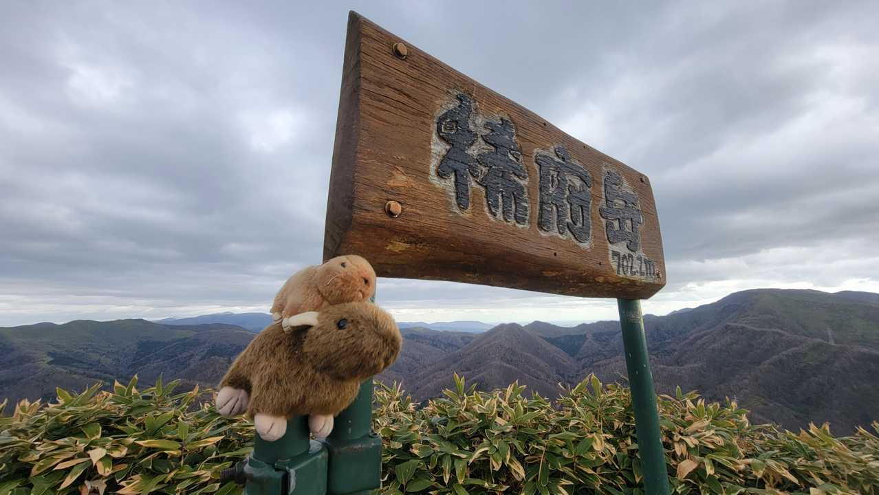 稀府岳　以前はここで引き返し伊達紋別に行ってました