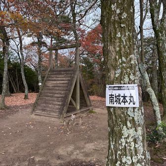 晴れてたら(禁句)🤫