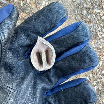 ミルクのしわざ