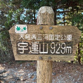 頂上到着⛰️
まだ雪はありませんでした