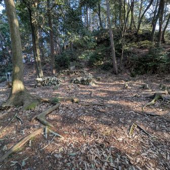 けっこう広い✨