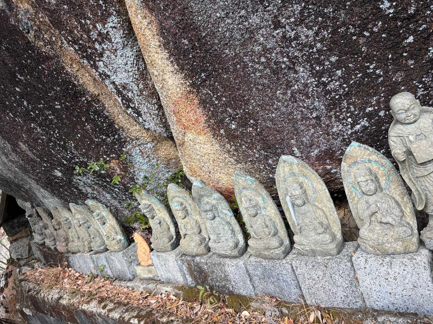 御所ヶ岳登山口-御所ヶ岳-馬ヶ岳-大谷登山口 縦走コースの写真