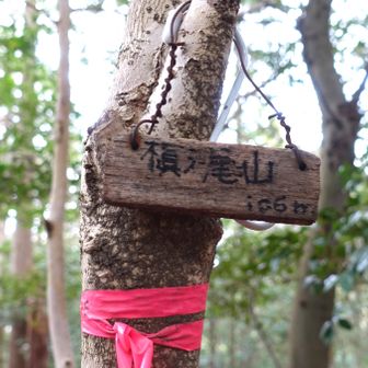 槇ノ尾山106ｍ
プレートは二枚ありました。これを見て下山。