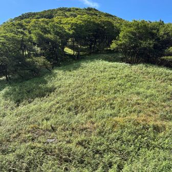 杉峠に着きました。
雨乞岳方向を見ています。

空が青い🩵

メンバーのうちの一人は　初めてなので『御在所が近〜い❣️」と。

ここでランチ🍙