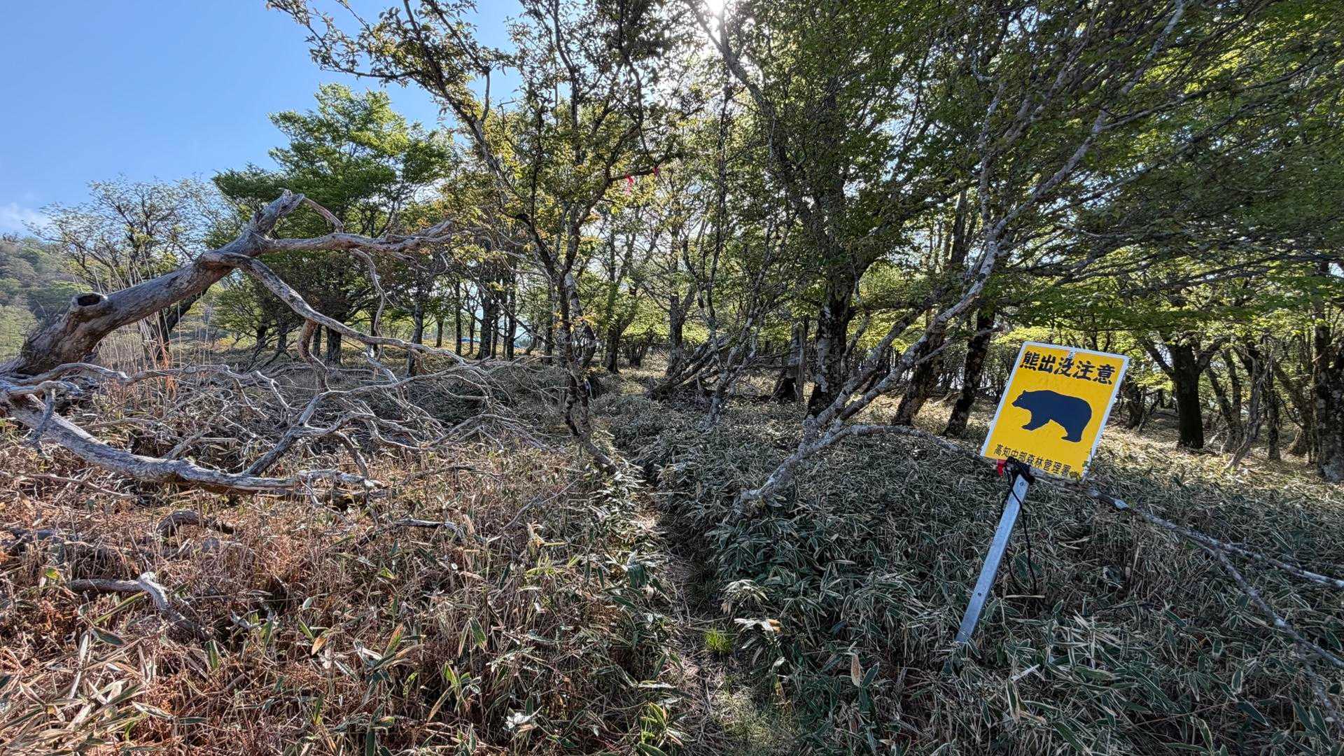 うわっ‼️熊さんの看板🐻😨

ウキウキで歩いてましたが
テンション下がりまくり…