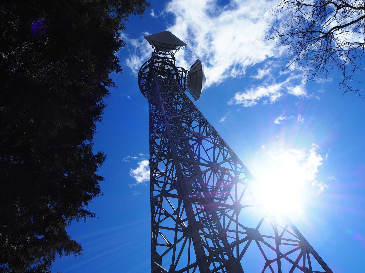 大窪沢ノ頭-権現山 往復コースの写真