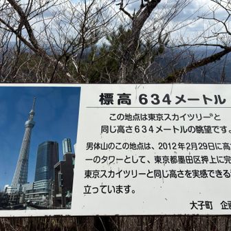 遠くにほんもののスカイツリーも見えました😆