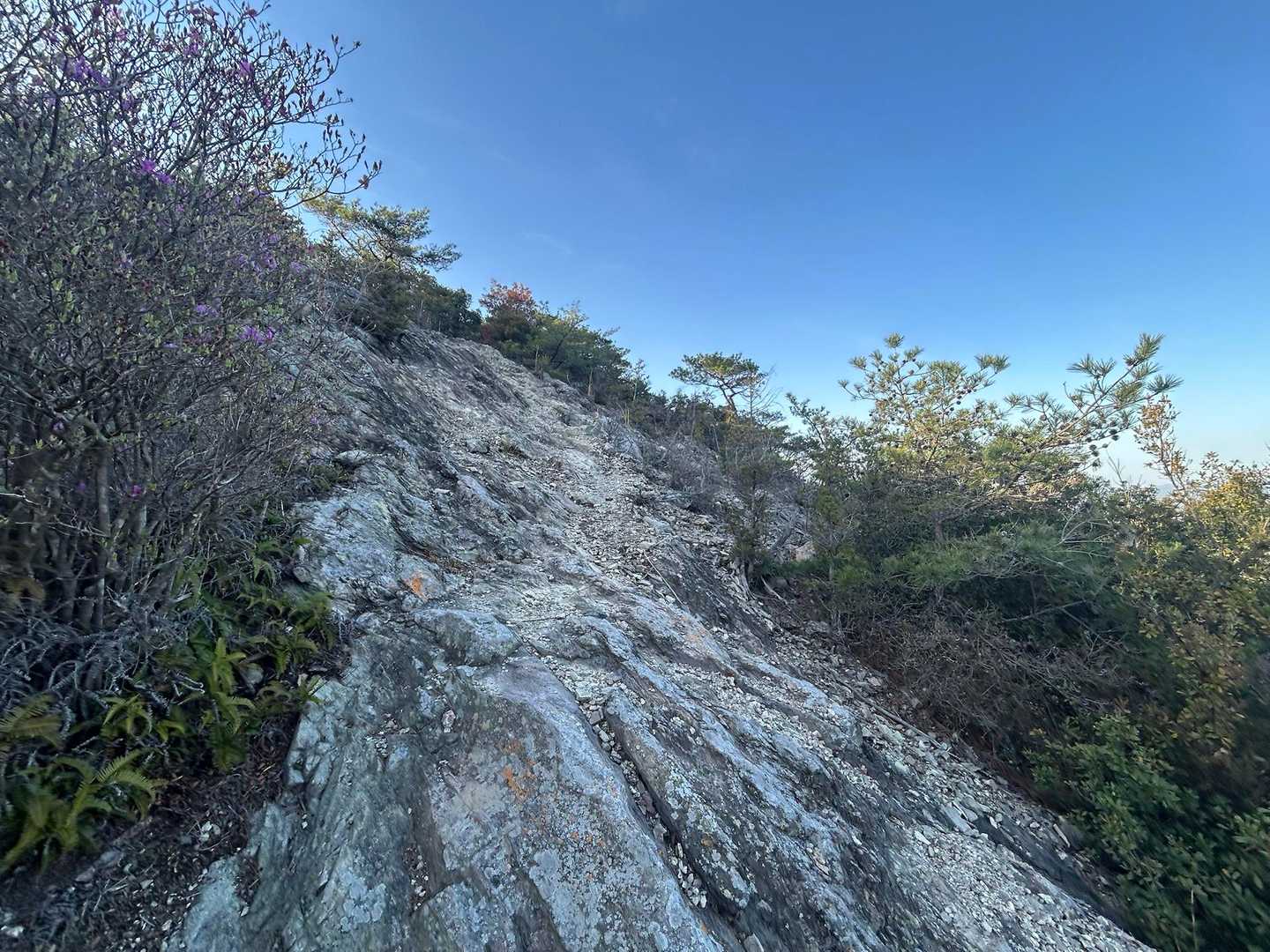 岩屋谷公園登山口-天下台山-えぼし岩-北尾根登山口 周回コースの写真