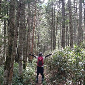 亀甲池から登山口までは歩きやすい道でした👣