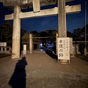 大きな鳥居。九州、神社が大きくて立派なのが多いように思いました。