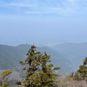 新居浜になるのかな？
ガスって殆ど見えない