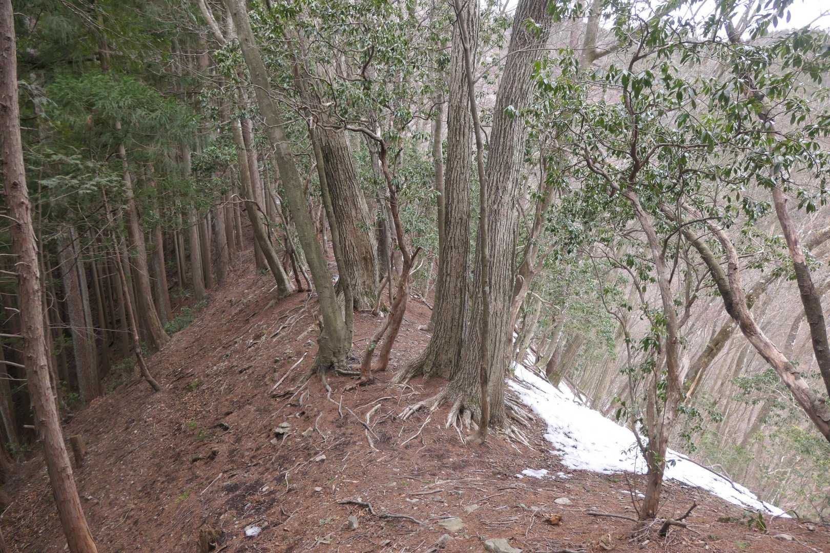細い尾根を通過。