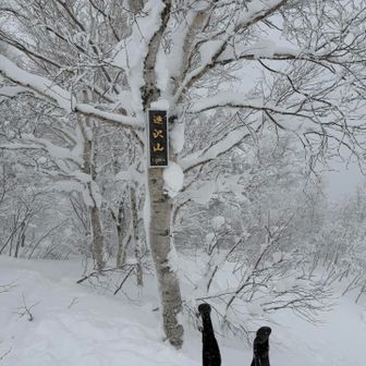 ５名の方🎿とスライドしてまもなく迷沢山🏔️到着🙌