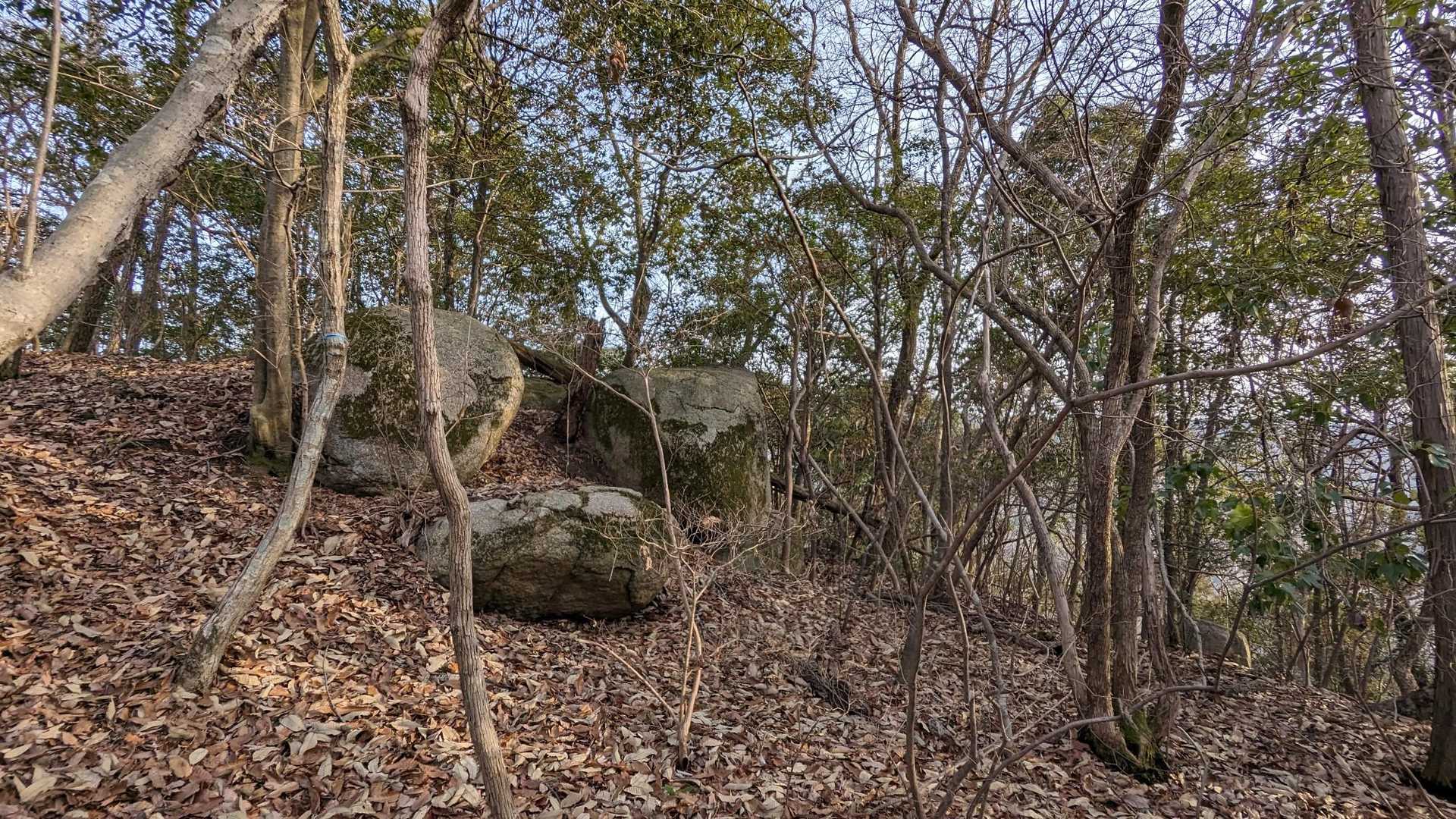 伽藍山-江良峠-鷺の尾-西方院 周回コースの写真