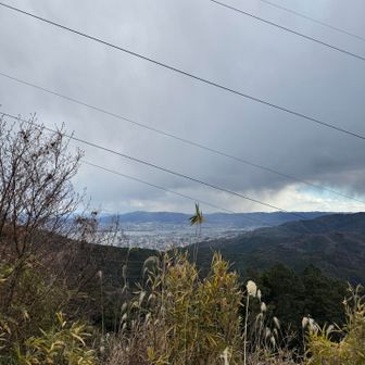 琵琶湖と山科を交互に眺めます