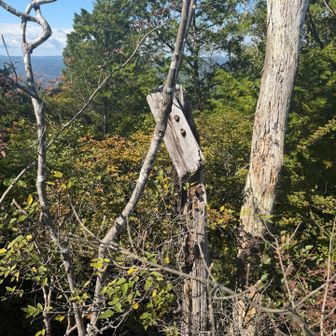 山頂標識だったのかな？