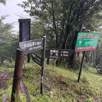 見晴台までの分岐