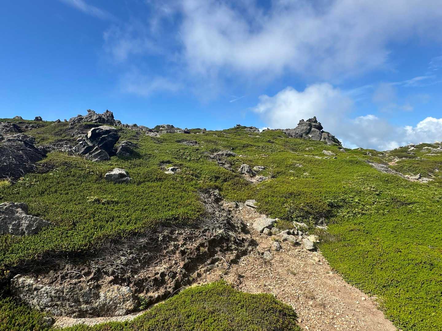 火口原駐車場発着｜津軽海峡のパノラマを味わう恵山 往復コースの写真