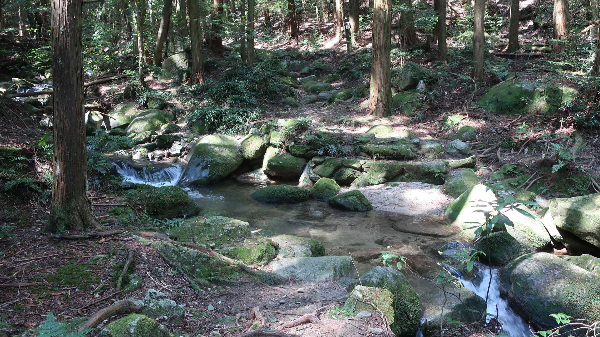 石谷山 周回コースの写真