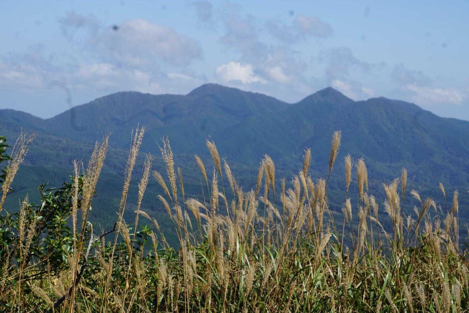 皆ヶ山方面