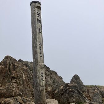 偽笠取山。景観なし😭