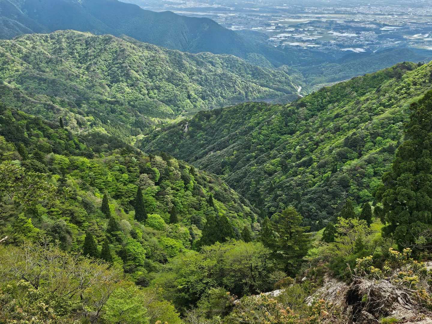 三重県がキラキラしてます