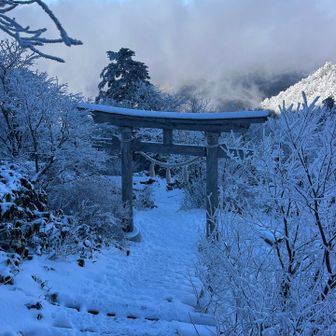 もっと降ると⛩️の上しか見えません😂
