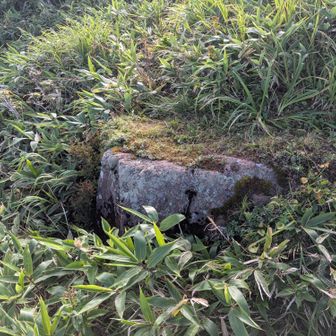 この岩が途中の目印