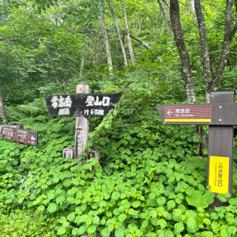 登ります