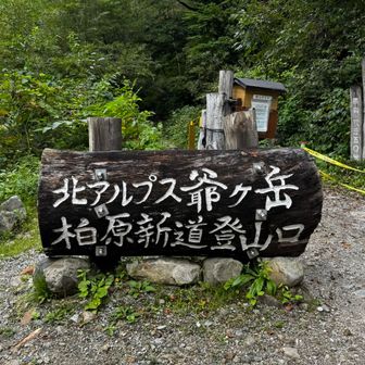 段差の下りで奥足が木の節にひっかかり、久しぶりに豪快にこけた！