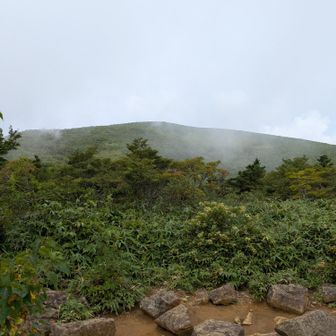 仙女平からの安達太良山。