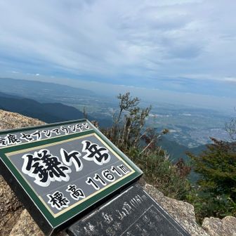 本日2回目の鎌…