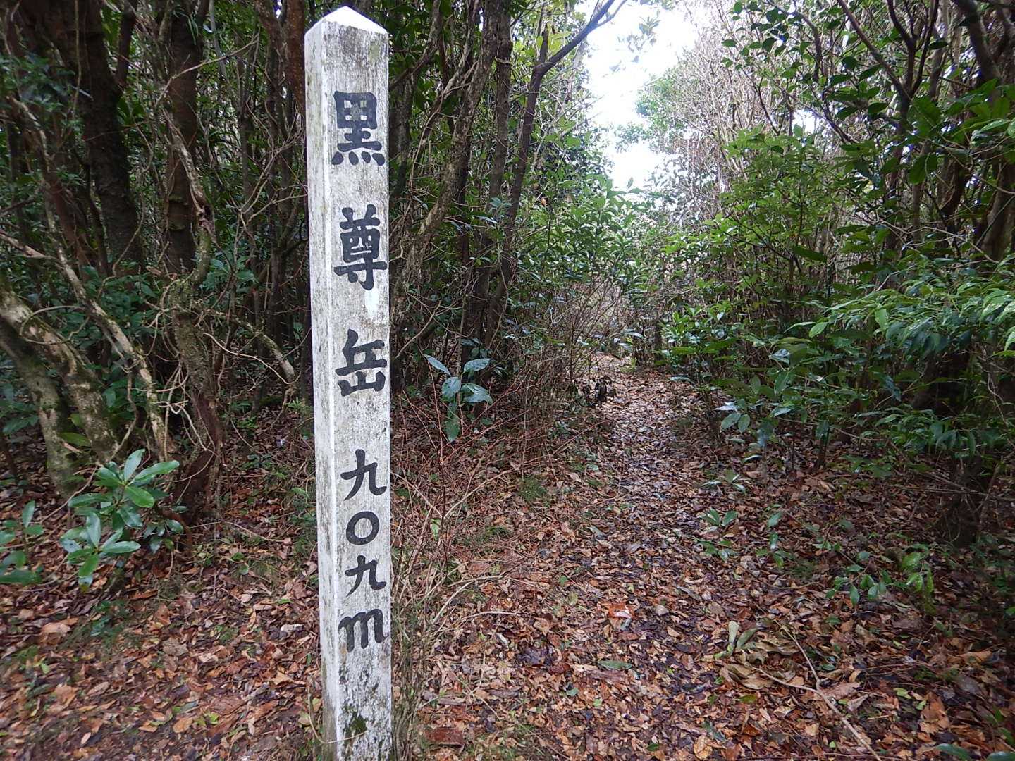 到着😃
右側奥が眺望が良さそうなのですが…
