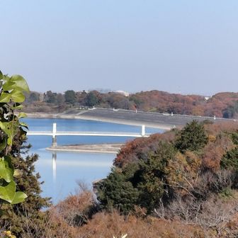 反対側に狭山湖も少し見えました👍️