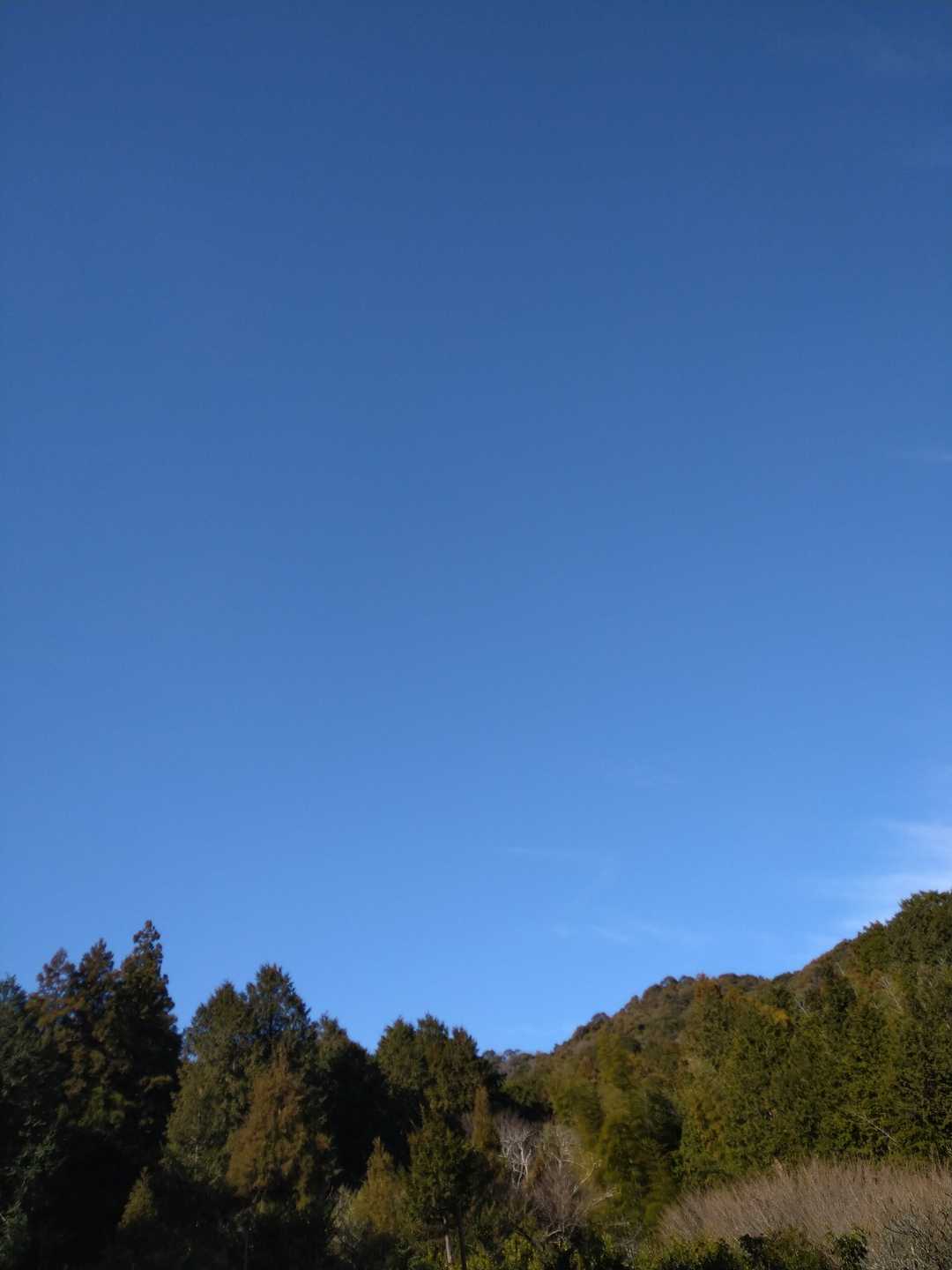 今日は山歩き日和だね🎶