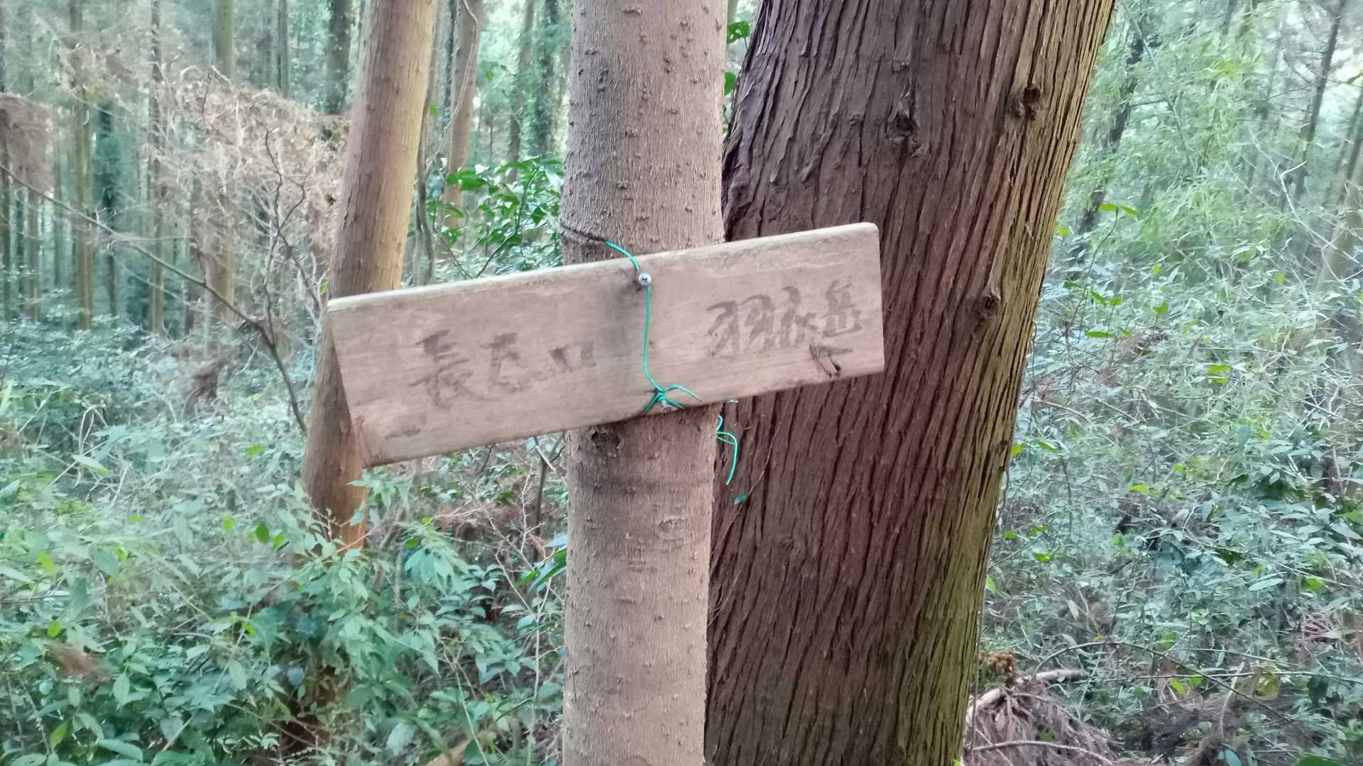鞍手登山口-六ヶ岳 往復コースの写真