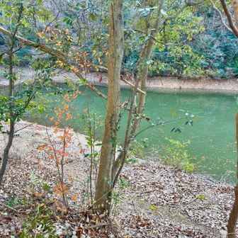 三ツ池？が意外とキレイ