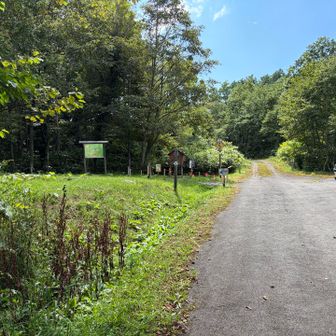 Ｃコース登山口からＢコース駐車場まで10分くらい歩きます