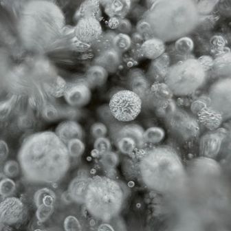 小沼の中の氷に閉じ込められた泡をマクロ撮影したもの