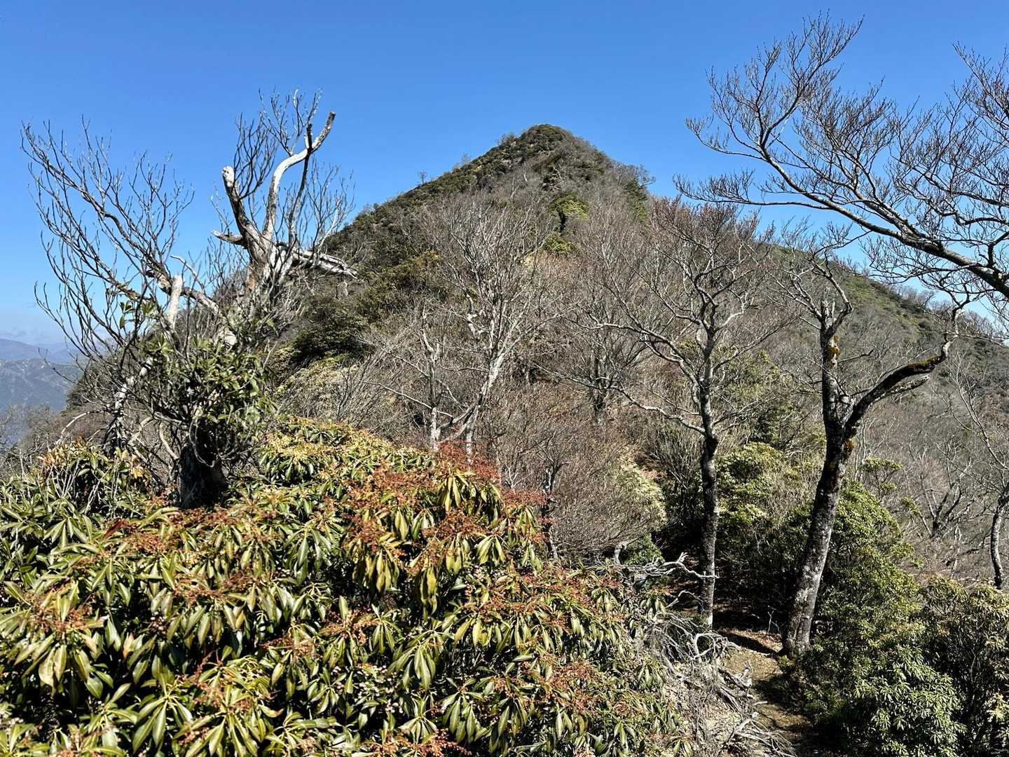石堂山 往復コースの写真
