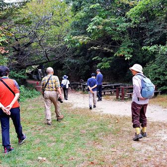 白旗池の仲間たち