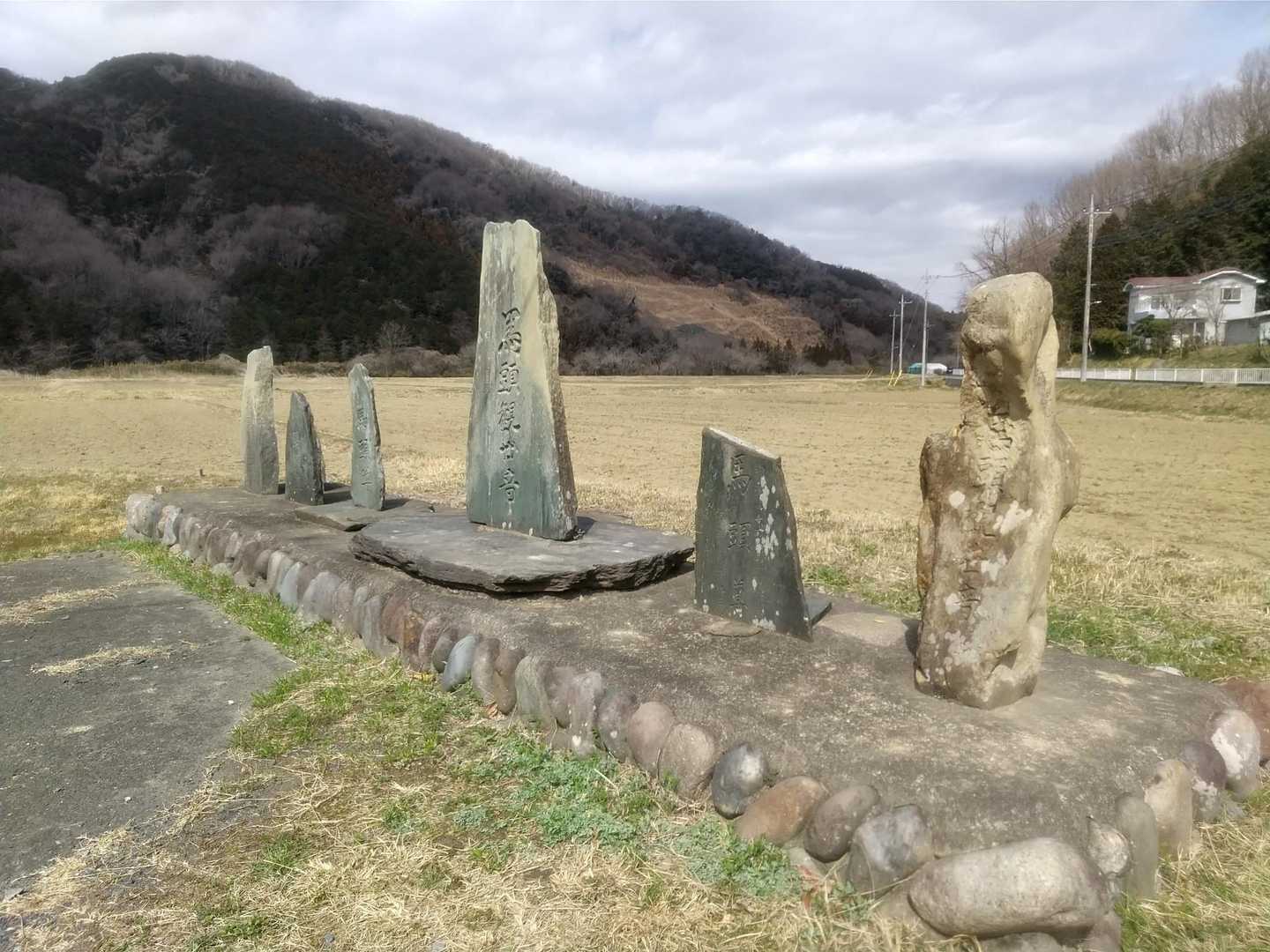 THE  里山の風景✨
いざ本命のセツブンソウへ♡