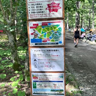 小梨平キャンプ場⛺️