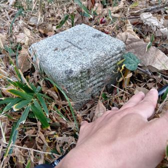 こちらも三等（？）三角点を確認＼(^o^)／