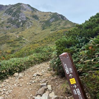 笠新道入り口から3時間半ほど黙々と樹林帯を登り、杓子平到着！
ようやく目の前が開けてホッとした。

これが噂の笠新道か…というのを思い知った。笠新道は稜線までまだ続く。