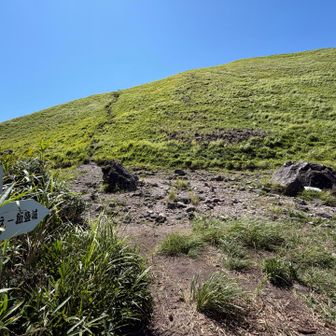 飯盛ケ城の登山口

ここまで 少しだけ薮ってた🌱
山頂までは10分くらい💪山頂見えてる♪