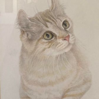 ふつうの風景画…