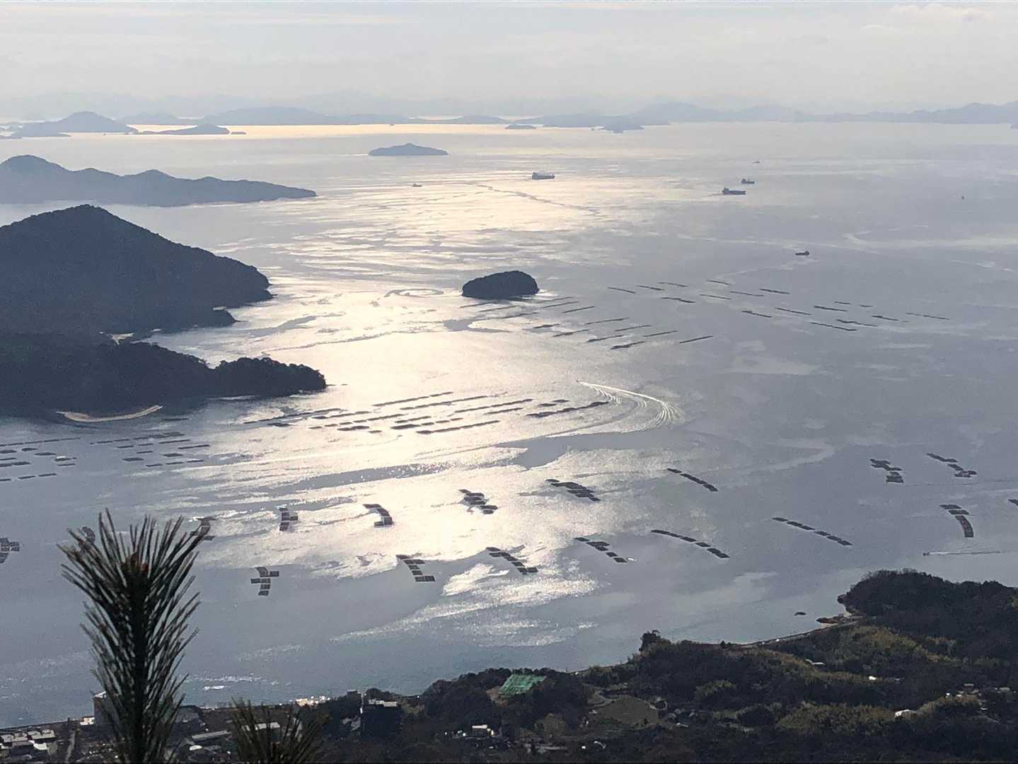 キラキラ🤩
牡蠣筏🦪これぞ広島の瀬戸内の風景だね🥹
遠くにうっすら石鎚山も見えた👀
今年の目標の1つだなぁ😌