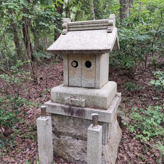 その脇に池の大きさに比べかなり立派な祠が　何を鎮めるために建立されたのか謎だ　不安が大きくなり歩みを速めた