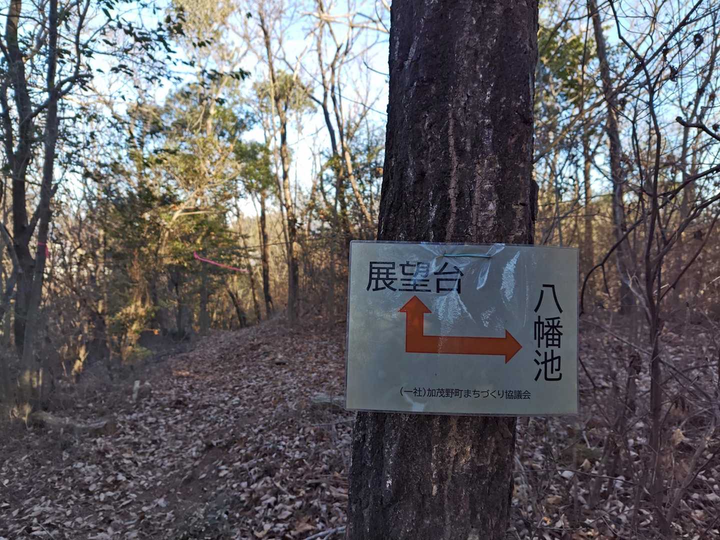 カナクズ山登山口-カナクズ山 周回コースの写真
